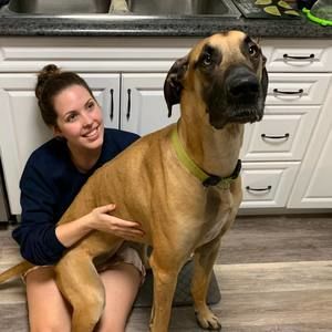 Meet your Posher, Jenna